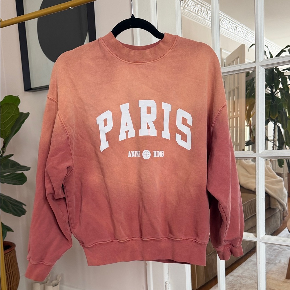 Anine Bing Coral Sweatshirt